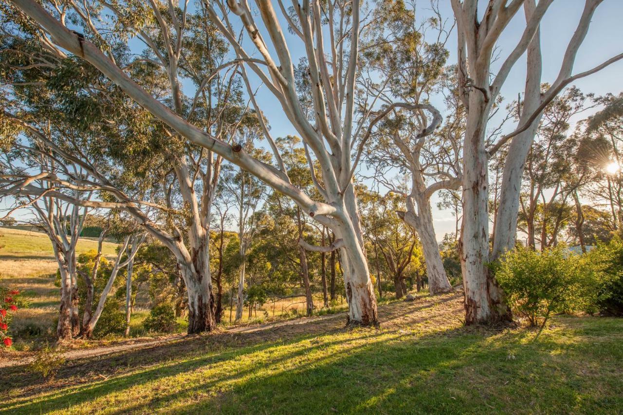 Discovery Parks - Hahndorf Exterior photo